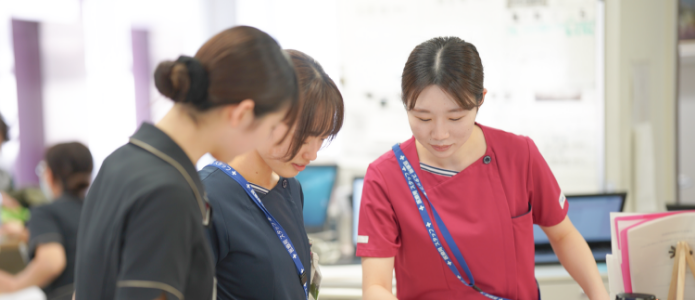   採用情報